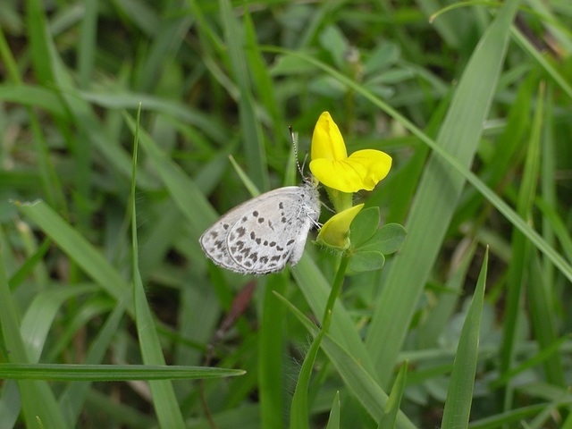 R3227908.JPG